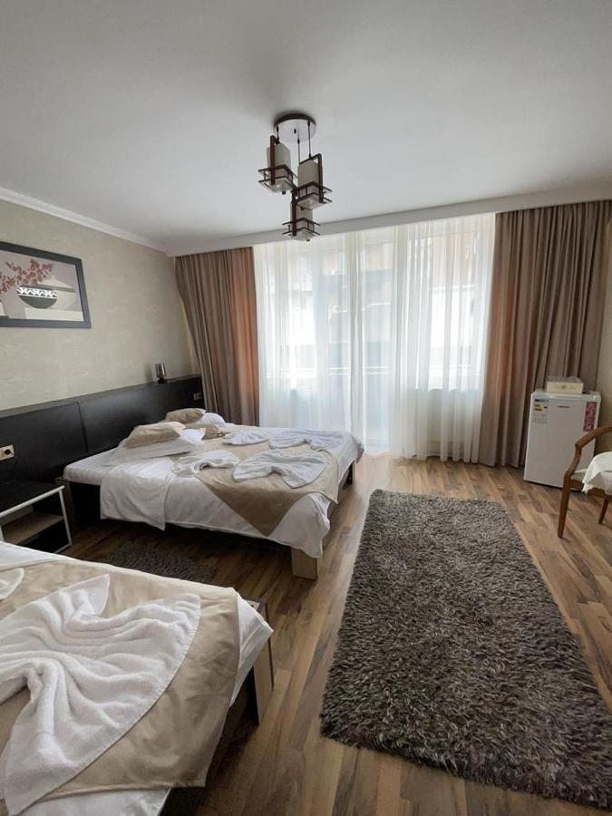 מלון Târgu Jiu Casa Alex מראה חיצוני תמונה