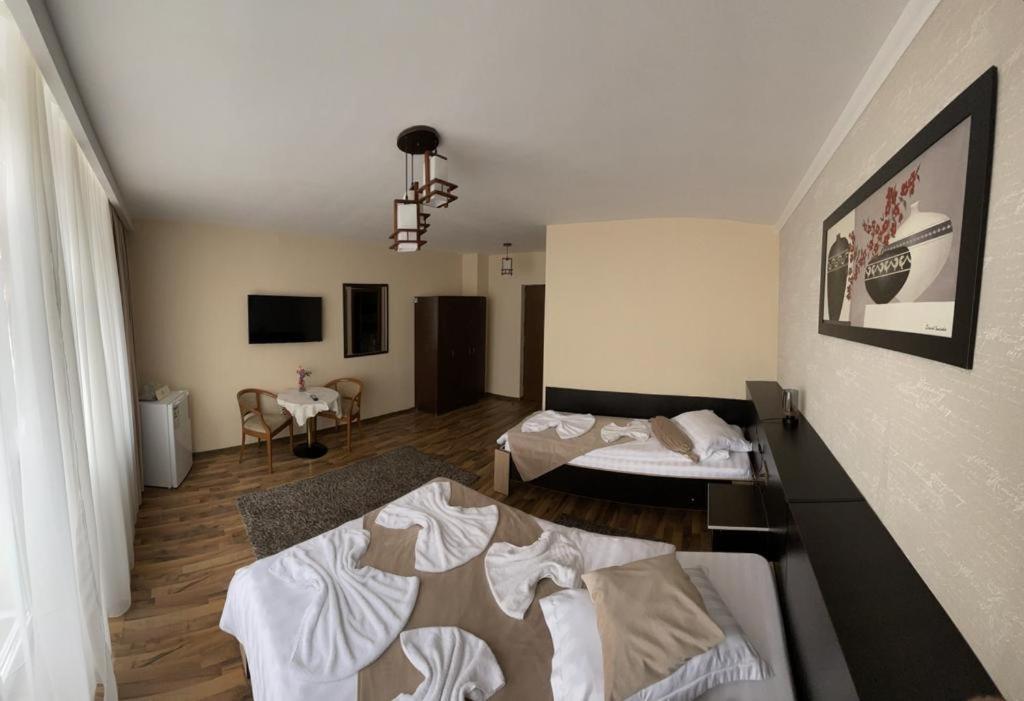 מלון Târgu Jiu Casa Alex מראה חיצוני תמונה