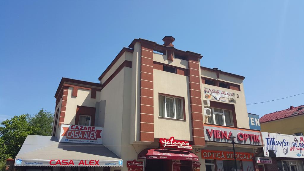 מלון Târgu Jiu Casa Alex מראה חיצוני תמונה