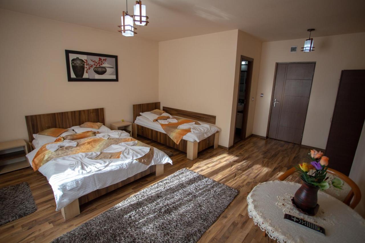 מלון Târgu Jiu Casa Alex מראה חיצוני תמונה